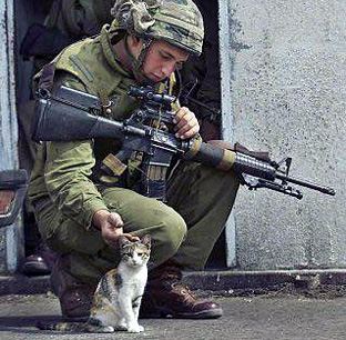 Israel Cat Lovers' Society